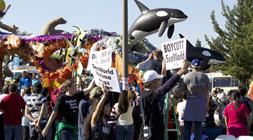 12-year-old animal rights activist arrested in California for Seaworld orca protest