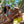 Load image into Gallery viewer, Two adults wearing a Humu Classic Lifeguard Hat and blue Humu trucker hat while sitting in a tree with a ukulele
